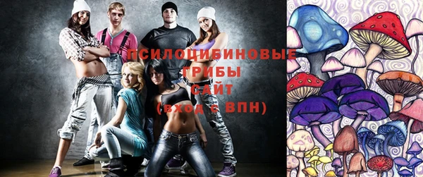 твердый Елизово