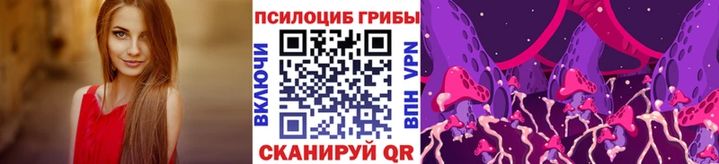 Купить где Сасово Галлюциногенные грибы MAGIC MUSHROOMS