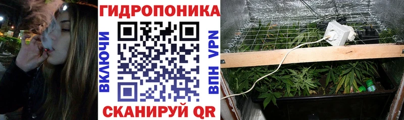 Шишки марихуана ГИДРОПОН  Купить где  Сасово 